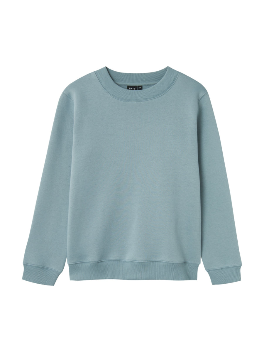 Sweater in lichtblauw voor jongens van LMTD