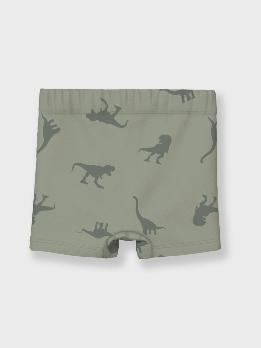 Onderbroeken 3 pak voor jongens in het groen met dino print van Name it