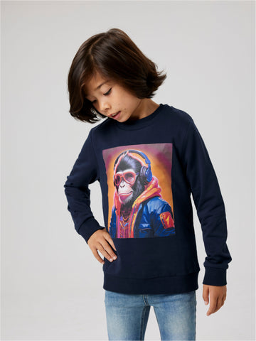 sweater voor jongens van Name it met print van een aap