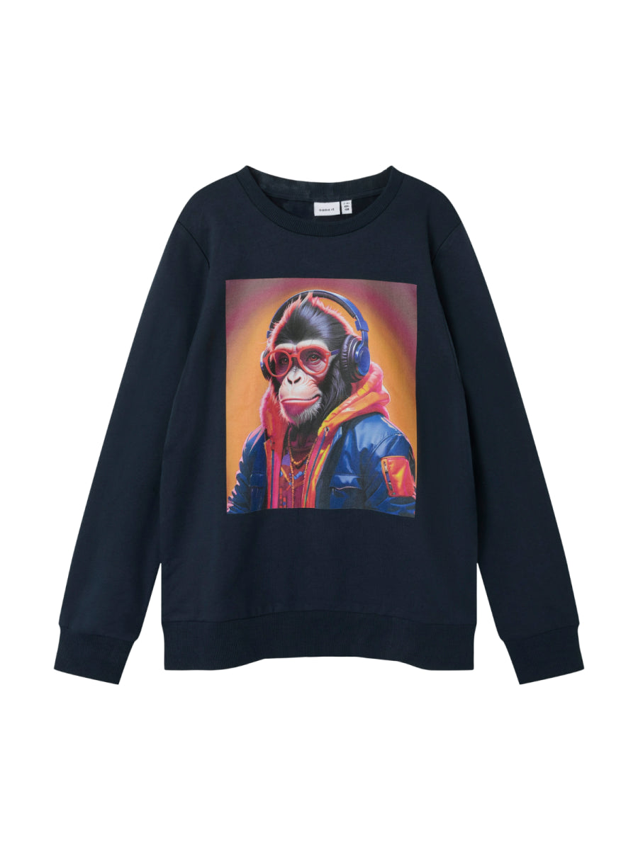 Sweater van NAME IT voor jongens met print van een aap